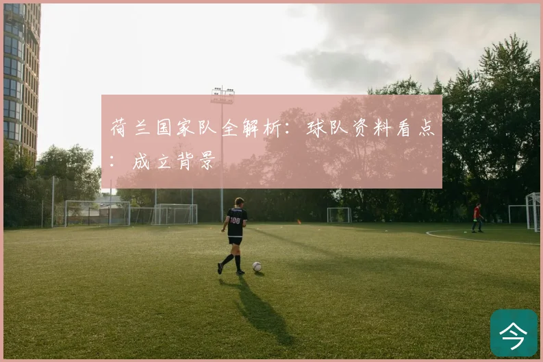 荷兰国家队全解析：球队资料看点：成立背景